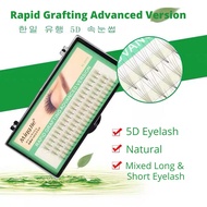Rapid Grafting 5D Eyelash for Eyelash Extension