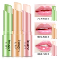 Image Beauty Fruit Honey Lip Balm Hydrating Moisturizing Lip Balm Fade Lip Lines Lip Care Skin Care 