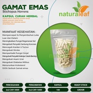 Kapsul Curah GAMAT EMAS 600 mg Anti Aging Kesuburuan Pria Kanker Luka