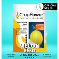 (100 SEEDS) Biji Benih Tembikai Susu Golden Loop 金环 HD280 CROP POWER Honey dew seeds  蜜瓜种子 HD 280 Ko