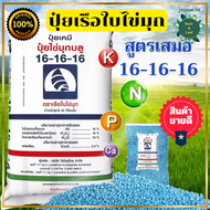 ปุ๋ยเรือใบไข่มุก สูตรเสมอ 16-16-16 เม็ดสีฟ้า บำรุงต้น ดอก ใบ เร่งการเจริญเติบโต เหมาะกับพืชผัก ผลไม้