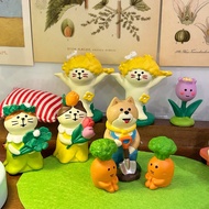 Flower garden themed cat model bought spring 2025