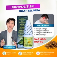 Medicine for Ear Congestion Festering Watery Foul Smell Propolis SM