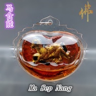 马食能 - 背面 燕通  Ma Sep Nang + Incool
