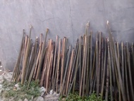 bambu Tamiang bahan arku layangan panjang 60cm