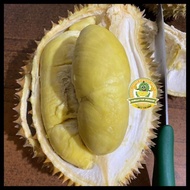 Durian Montong Palu Parigi Utuhan/Butiran Good Product
