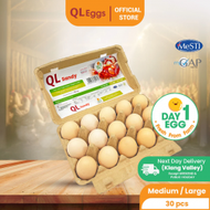 QL Day 1 Egg (SANDY) - M/L (20pcs/30pcs/40pcs) Fresh Egg...