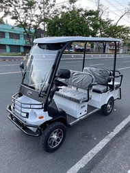 RFM e4 wheel V2 6S four-wheel 4wheels trike ebike electric bike 3-wheel etrikes Tri-wheels