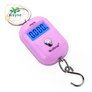 Digital Luggage Scale with Hook, 25kg Capacity, 5g Accuracy, Portable and Backlit