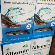 albumin ikan gabus