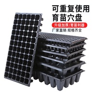 Tray seedling pot PET Plant and flower seedling tray, planting pot, cutting seedling box, seedling t
