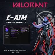 Valorant E-AIM | Color Aimbot | Undetected | 2024