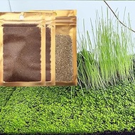 3 Pack Live Plant Seeeds Combo for Aquarium and Fish Tank, Fresh Water Aquatic Plant Decor Water Gra