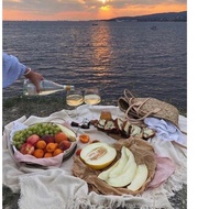 CANVAS FABRIC CANVAS BACKDROP FABRIC PHOTO BACKGROUND FABRIC CANVAS PHOTO FABRIC PICNIC FABRIC CANVA