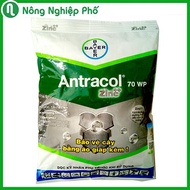 Antracol phòng bệnh trừ nấm bệnh cho lan hoa cây kiểng - Gói 100 gram - Nông Nghiệp Phố