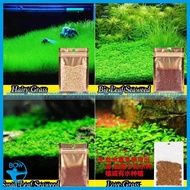 Water Plant Seeds Carpet Hair Grass seed aquascape aquarium
