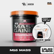 Bsfn M16 Mass Gainer 12 lbs/5.4 kg + (Free Shaker/tshirt )