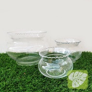 Transparent Glass for Terrarium and Plant Vase &amp; Fish Tank Container Series 2 Garden Décor &amp; Ornaments IOB