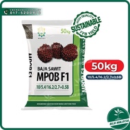 MPOB F1 Baja Sawit 50KG 10-5.4-16.2-2.7+0.5B Fertilizer Kelapa Sawit Dengan Boron