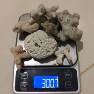 Coral/batu karang Aquarium Deco