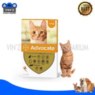Advocate Cat Flea Medicine 1 Tube Small 0-4kg Original