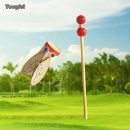 Tooyful Traditional Chinese Wood Cicada Toy Creative DIY Handmade Science Experiment Cicada Sound Ma