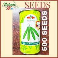 GALAXY MAX F1 HYBRID AMPALAYA SEEDS 500 SEEDS (EAST WEST SEEDS)