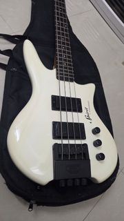 Steinberger XD 25