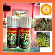Super Rooting AE.NITO HUMIC-1 – Support (Combo of 2 bottles) Root Growth Support – For Plants 20ml b