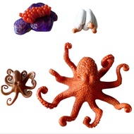 [SG Ready Stock] Life Cycle Toy - Octopus