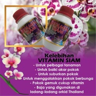 Baja Vitamin Siam Baja Vitamin Thailand Original 🔥 Menggalakkan Pertumbuhan Pokok &amp; Penghasilan Bunga Yang Lebih 🔥
