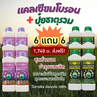 6 แถม 6 (ปุ๋ยธาตุรวม VAMAX + CABMAX แคลเซียมโบรอน) ผลดก บำรุงผลผลิต