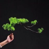 Tree branches for miniature landscape decoration - Plastic tree branches