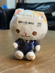Seventeen  Joshua-cat