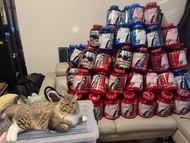 Whey Protein, Isolate 蛋白粉