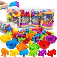 Kids Learning Sent From Thailand Rainbow Sorting Bear A Toy Counting Game Practice Picking Separate 