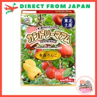 Fujiya Aomori Limited Tohoku Souvenir - Country Mam Aomori Apple 16pcs. individually wrapped chocola