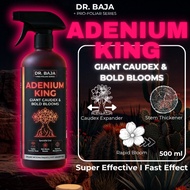 【EFFECTIVE】DR. BAJA Adenium King | Desert Rose Caudex Expander | Bold Bloom Booster | Thick Stem For