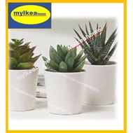 IKEA FEJKA SUCCULENT Small Cutest Three Potted Artificial Plants/ pokok hiasan tiruan berpasu