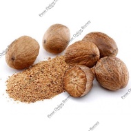 Nutmeg Nutmeg Nutmeg Seeds