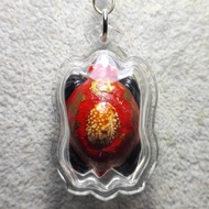 【818泰国佛牌】LP RAK, KRUBA MUANG, KRUBA KITTICHAI 2563 BIAGAE 龙婆喇 古巴牟昂 古巴吉帝猜 财龟挡降贝 限量399尊 SP-2507009