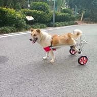 Cat Dog Wheelchair Lightweight Hind Limb Disability Scooter Wheelchair Large Dog Wheelchair Rear Leg Electric Vehicles for Disabled Hindlimb Rehabilitation Wheelchair Cart Lightweight Flexible Simple Installation