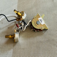 CTS potentiometer + 5w oak selector switch lowerOriginal strandberg guitarAN