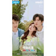 CHINESE DRAMA DVD: HIDDEN LOVE (MP4)