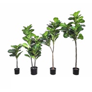 Artificial  premium fiddle fig