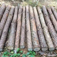 Aquarium Driftwood Forest Tree Trunk Aquatic Plant Landscaping Redwood Rainforest Tank Decoration Tu