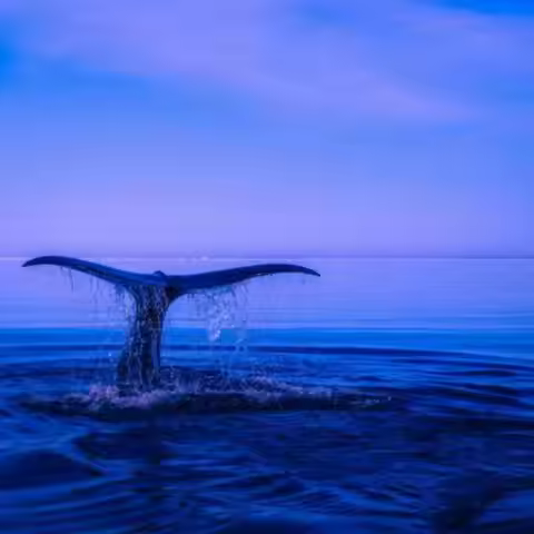 Portable Hard Protective Case Wireless Mouse Carrying Bag for Logitech MX Master 3S MX Master 3 2