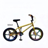 HTG 20 Inch BMX Bicycle Steel Frame Chrome Rainbow Mag Rim Disc Brake Single Speed Kids Teenager Bas