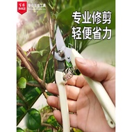 Pruning Shears Fruit Tree Pruning Shears Gardening Shears Pruning Flower Shears Pruning Shears House
