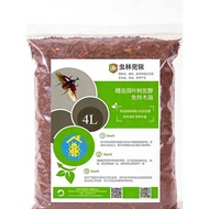 Unicorn Larvae Deep Fermentation Sawdust Corrugated Soil Feed Beetle Climbing Pet Stag Beetle Adult 